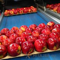 فروش-دستگاه-سورتینگ